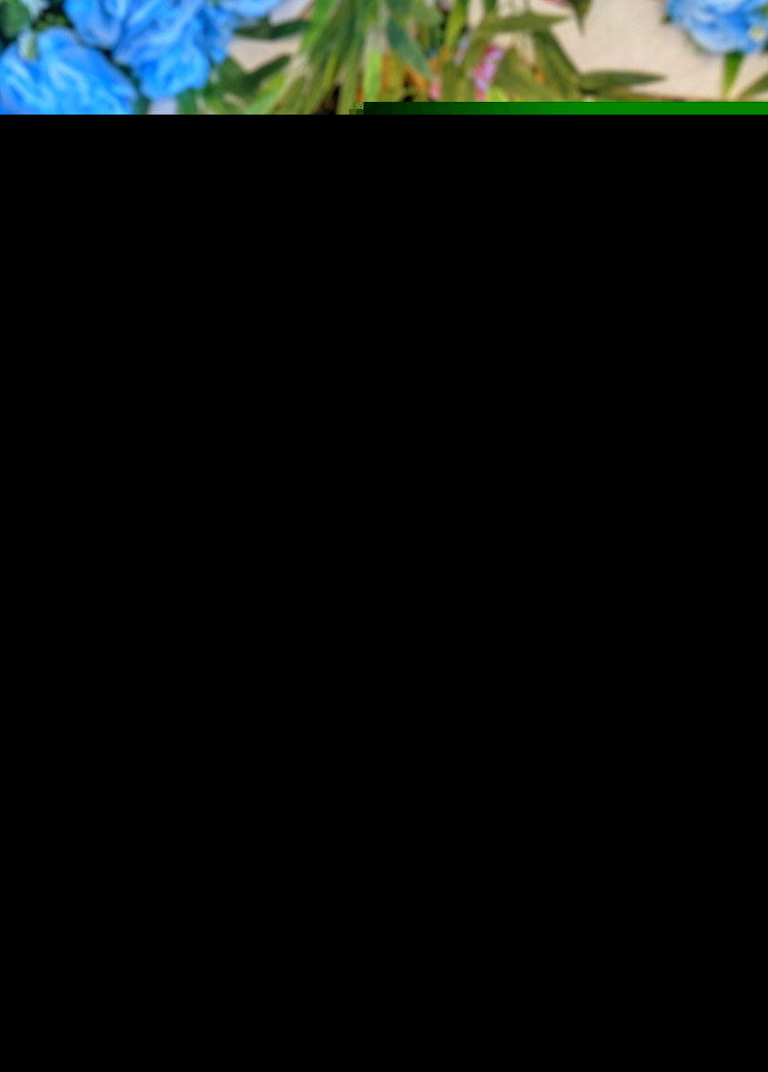 Badhan Banarjee