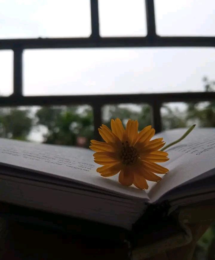 Sumaiya Alam