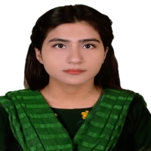 Jerin Anjum
