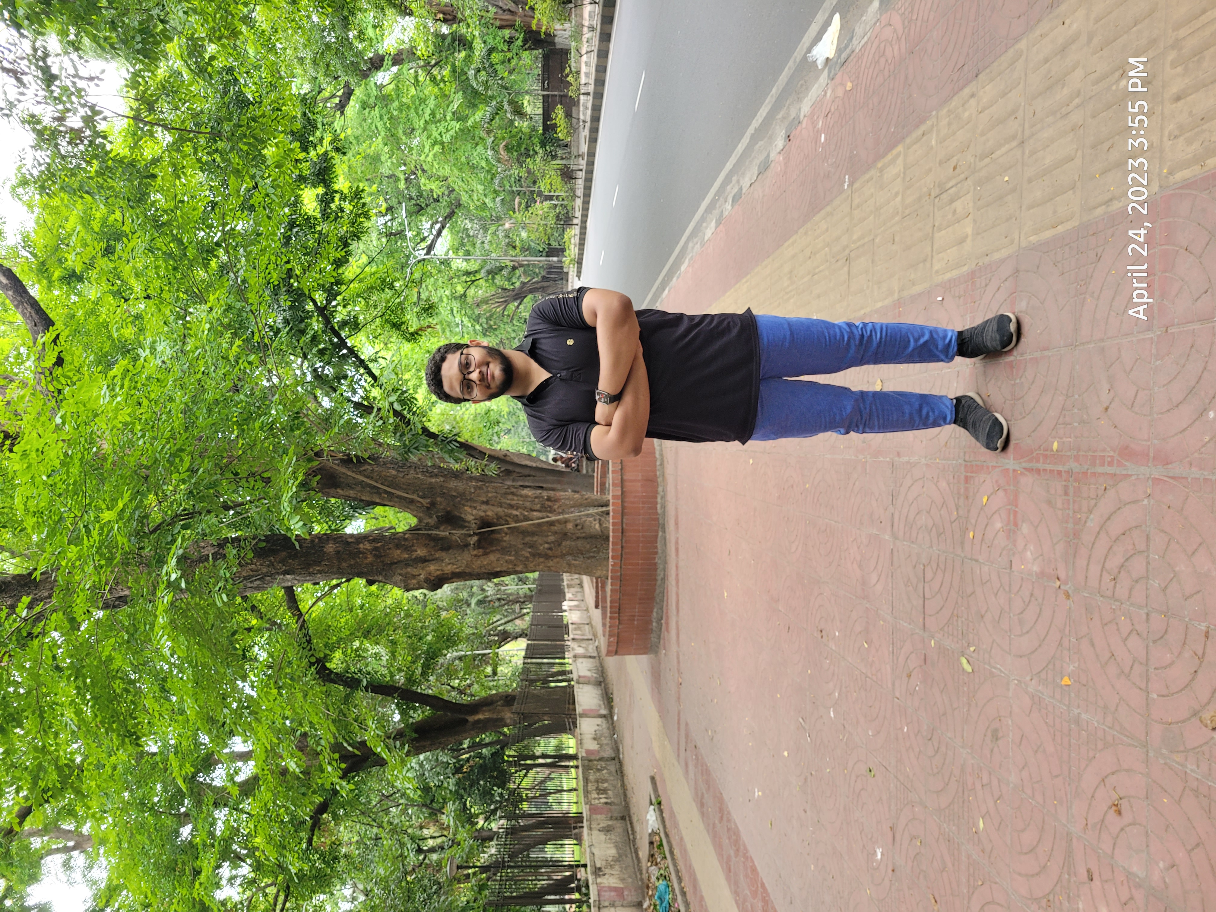 Picture